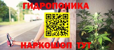 скорость Заволжье