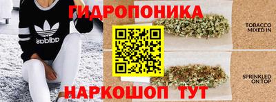 скорость Заволжье