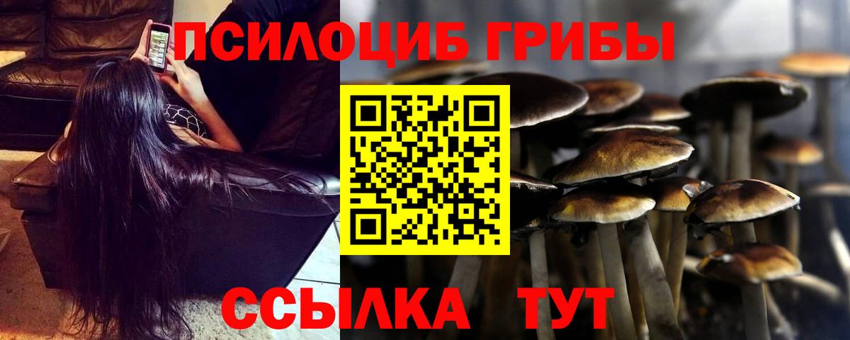 Галлюциногенные грибы ЛСД  Вход с VPN  Псилоцибиновые грибы GOLDEN TEACHER  Хасавюрт 